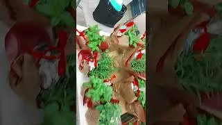 WhatsApp Video 2023 01 26 at 16 47 07