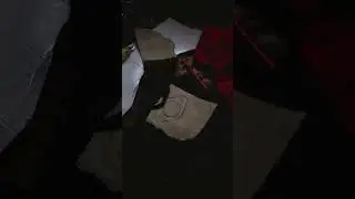 Гаражные движения 