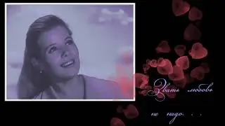 Людмила Сенчина - Звать любовь не надо
