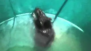 MOV 0000040
