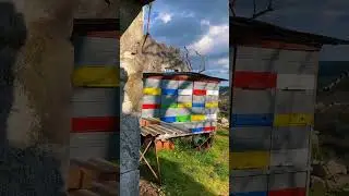 📌 Словения | Замок Štanjel 