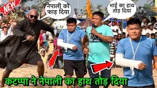 बसंत थापा का हाथ तोड़ कर कटप्पा जश्न मनाया | paras thapa ki kushti | basant thapa ka hath tut gaya