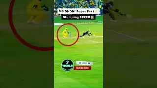 #msd  stumping speed