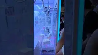 Labubu Monster Kingdom Claw Machine 😱🤩 #labubu #singapore #hongkong #monster #fun #clawmachine #claw