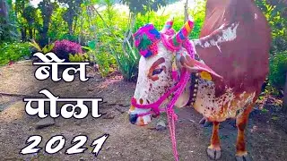 बैल पोळा 2021, बैल पोळा सजावट आणि गावातील पोळा  || by Rushikesh Falke bail pola maharashtra