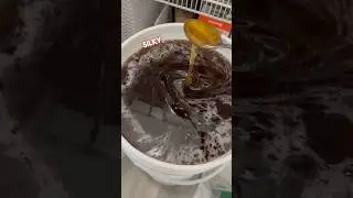 20 gallons of honey 🤣🤣