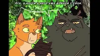 Озвучка мемов по Котам-воителям || Озвучка с командой + неудачные дубли || Читайте описание👇