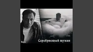 Серебристый туман