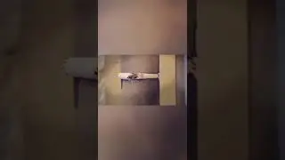 Залипательно | Satisfying 