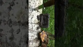 Оптическая деталь от танка, нашли в болоте! #relics #metaldetecting #копповойне #ww2 #history #tank