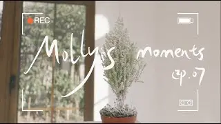 Molly’s Moments | 小小仪式感，完美的圣诞节 | 热热闹闹的三人火锅局 |