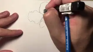 Drawing Miss Joaquim