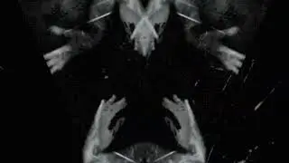 PSYIKE - Antarctic | EXPERIMENTAL OPIUM BIRD TRAP