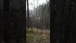 Бомжей приравняли к хакерам... О странностях УК РФ.