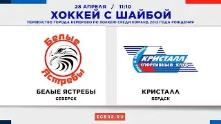 LIVE: «Белые Ястребы» (Северск) - «Кристалл» (Бердск). 28.04.2024 11:10