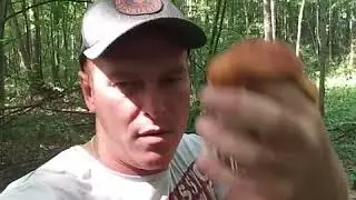 рыбалка  2020 г.