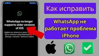 Как исправить проблему «WhatsApp больше не поддерживает старые версии iOS»
