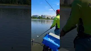 Рыбалка в Братеево . Соревнования по фидерной ловле 