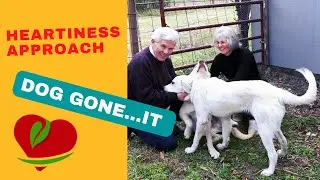 DOG GONE..It