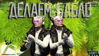 GTA5RP Ароматные Семечки или Как срубить Бабла