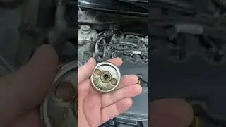 Ваши комментарии🙁