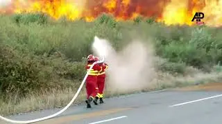 Wildfires cause widespread damage in Lapusel say local media