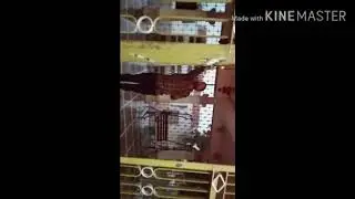 #Amba Rupareliya parivar na surapura ( JAGABAPA ) ni Arti
