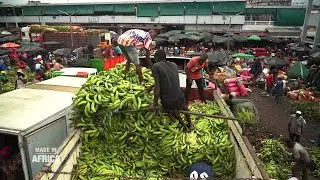 Made In Africa du 02 février 2023 : le business de la banane plantain