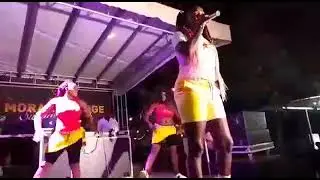 olessos live perfomance
