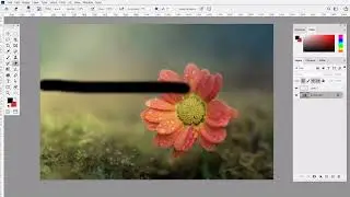 Eraser tool in Photoshop | Background Eraser Tool | Magic Eraser Tool | Part-18