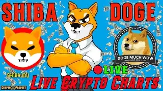 🔴 24/7 LIVE SHIBA INU TOKEN - SHIBA EXPLODING TODAY | BUY and SELL ALERTS | DOGECOING LIVE STREAM