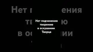 Нет подчинения творению в ослушании Творца.#религия #ислам #напоминание