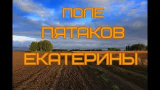 РАСПАШКА МОНЕТ