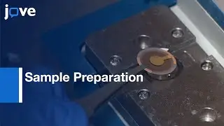 Quartz Crystal Microbalance Measurements-Protein Adsorption & Polymer Mechanics l Protocol Preview
