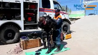 #УрокиМЧС