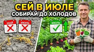 Plant in JULY — harvest before the frost! 12 crops for a second harvest in your garden