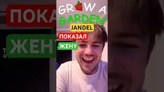 Jandel на русском, разработчик у которого есть жена 