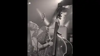 AM I BLUE? (live) | Eddie Cochran | Rockabilly Cover by THE SWAMP SHAKERS 4:5