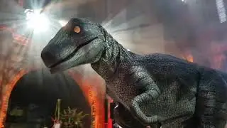 Raptors unleashed at the Natural History Museum