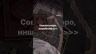 16 декабря 2023 г.