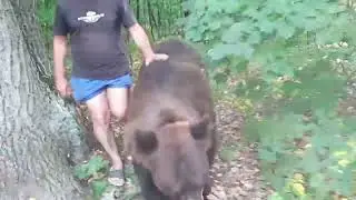 Я и медведь Том в Жигулях