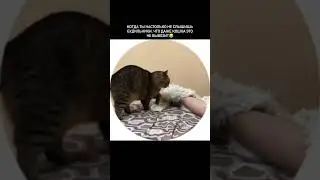Уже 9 лет она меня будит