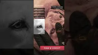 Pro tricks for tattooing white animals #shorts #learntattooing #tattoocourse #realistictattooing