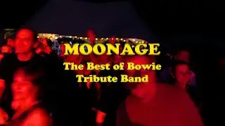 Moonage Compilation: The Best Of Bowie Tribute Band