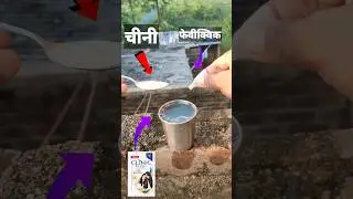 science experiment ||🧪😱#experiment #ytshorts #trending #shorts#science
