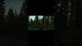 Как повысить ФПС в Escape from Tarkov #shorts