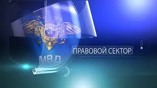 15 07 19 ПРАВОВОЙ СЕКТОР  ГУ МВД