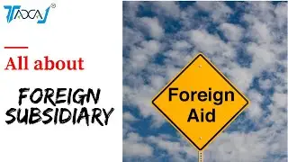 Foreign Subsidiary Registration & Compliances in India | Foreign Subsidiary vs Foreign Branch