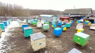 ВЫСТАВКА ПЧЁЛ 2024.ИТОГИ ЗИМОВКИ.