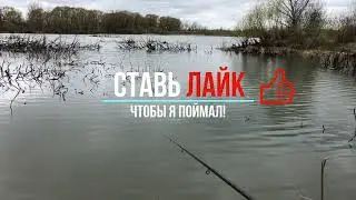 КАРАСЬ в коряжнике! Ловля на поплавок!